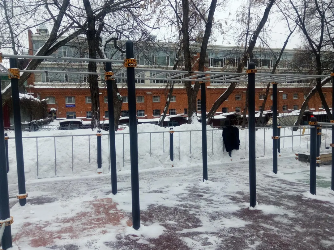 Bare paralele joase la Calisthenics Park at Нижняя Красносельская улица, Москва – fotografia 4 din 5