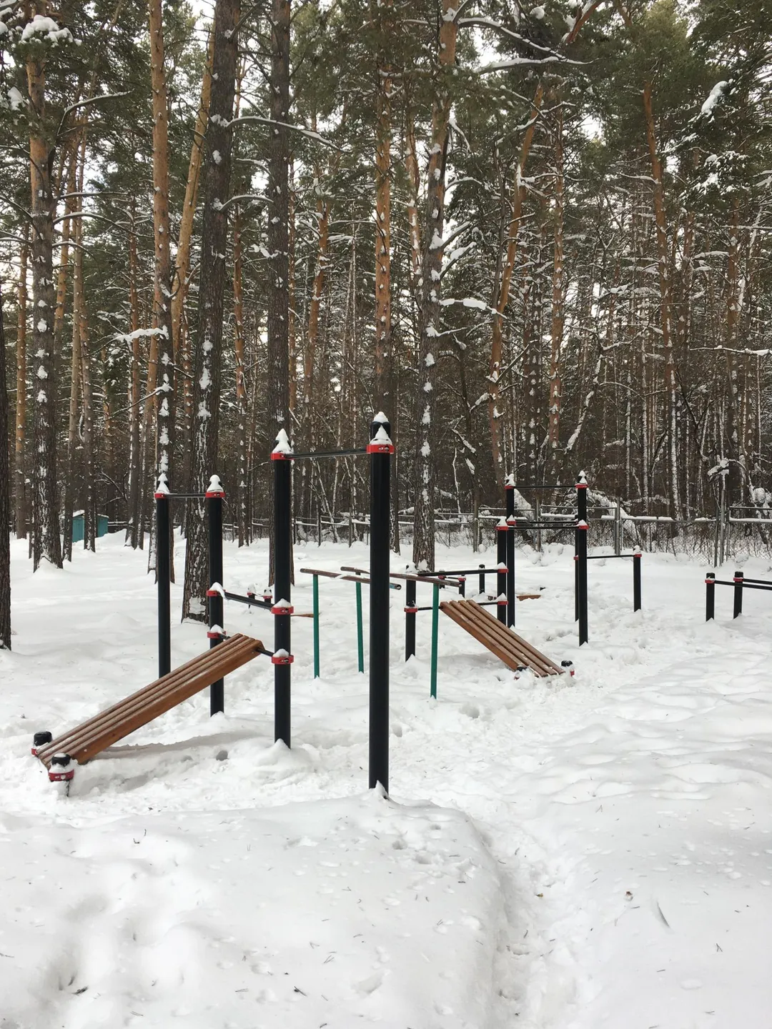 Bară de tracțiuni la Calisthenics Park at Буревестник, городской округ Новосибирск – fotografia 1 din 1