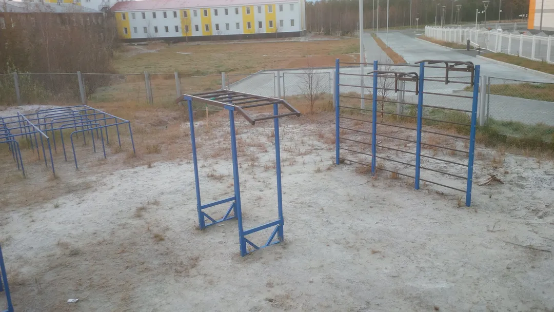 Barres de singe à Calisthenics Park at улица Нефтяников, Губкинский – photo 3 sur 5
