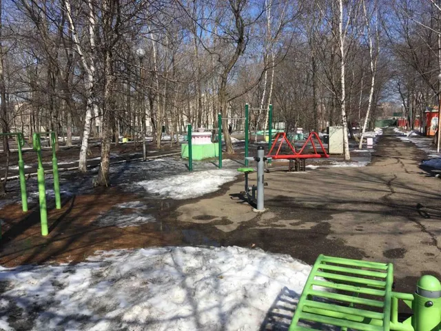 Calisthenics Park at улица Горького, Уссурийск