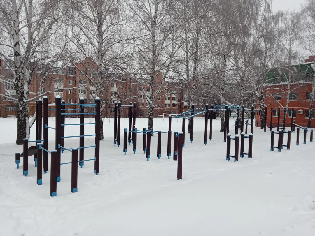 Parallel Gym Bars at Calisthenics Park at улица Дмитрия Ульянова, Ульяновск – photo 2 of 2