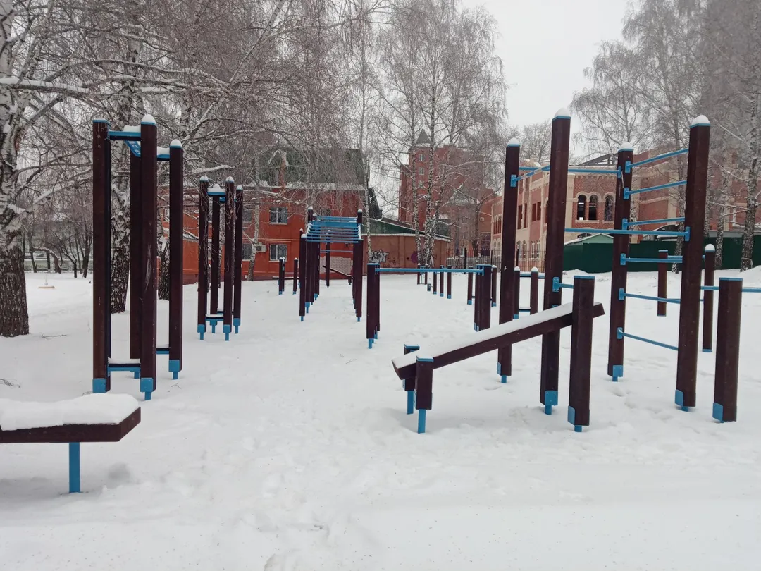 Pull Up Bar at Calisthenics Park at улица Дмитрия Ульянова, Ульяновск – photo 1 of 2