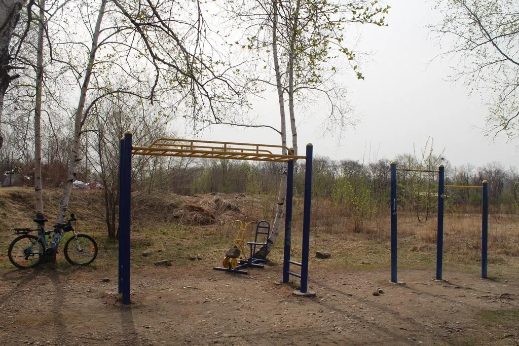 Monkey Bars at Calisthenics Park at проспект 60-летия СССР, Биробиджан – photo 3 of 3
