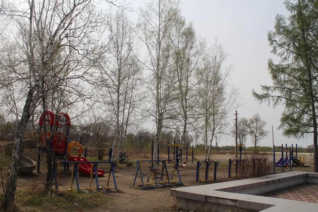 Parallel Gym Bars at Calisthenics Park at проспект 60-летия СССР, Биробиджан – photo 2 of 3