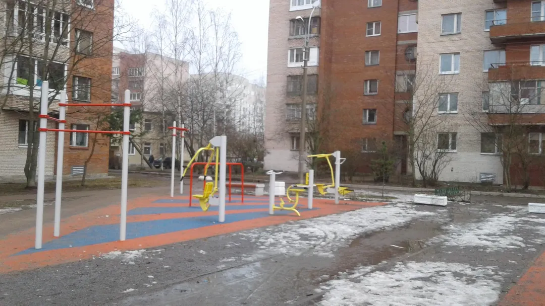Parallel Gym Bars at Calisthenics Park at Университетский проспект, Петергоф – photo 2 of 2