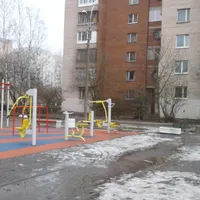 Calisthenics Park at Университетский проспект, Петергоф - thumbnail 2