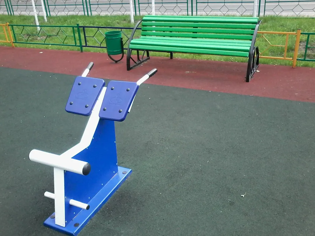 Barres de singe à Calisthenics Park at Школьная улица, Ивантеевка – photo 3 sur 15