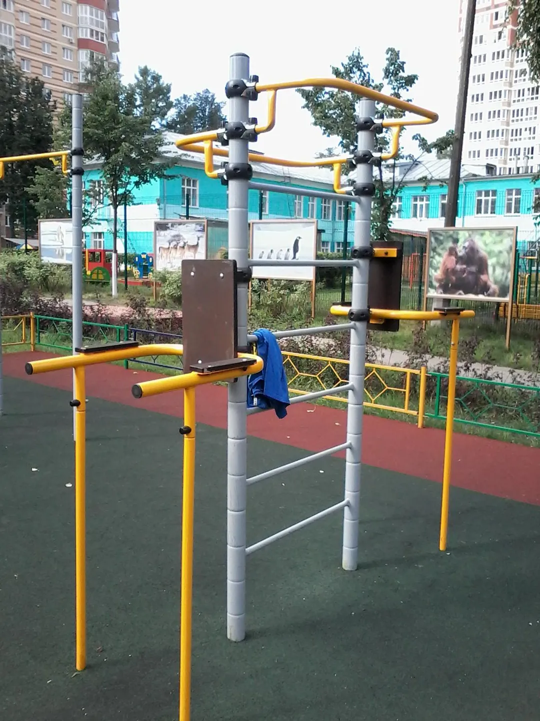 Barre de pompes à Calisthenics Park at Школьная улица, Ивантеевка – photo 14 sur 15