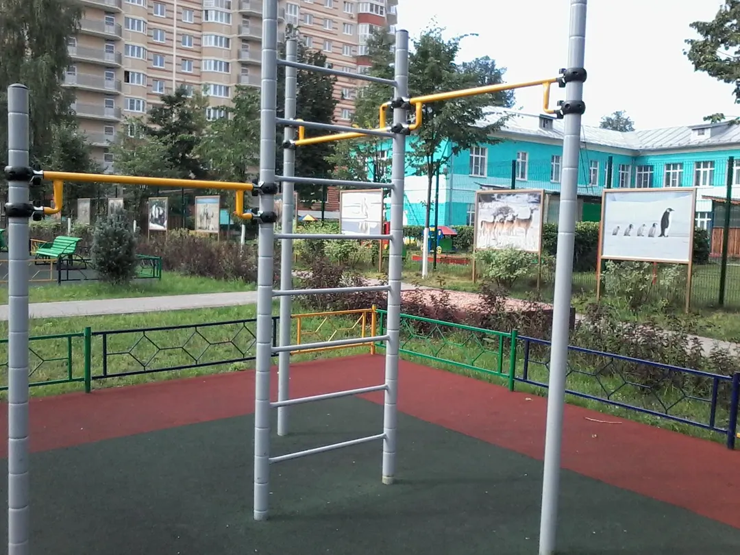 Anneaux de gymnastique à Calisthenics Park at Школьная улица, Ивантеевка – photo 15 sur 15