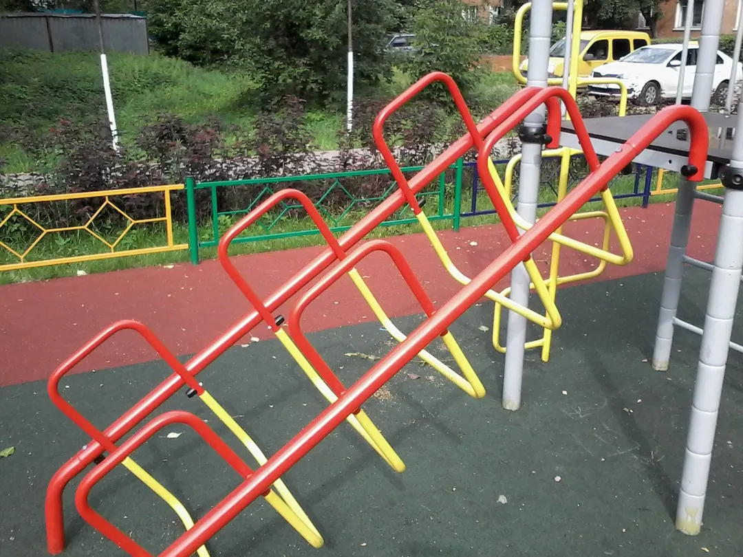 Barres de singe à Calisthenics Park at Школьная улица, Ивантеевка – photo 11 sur 15