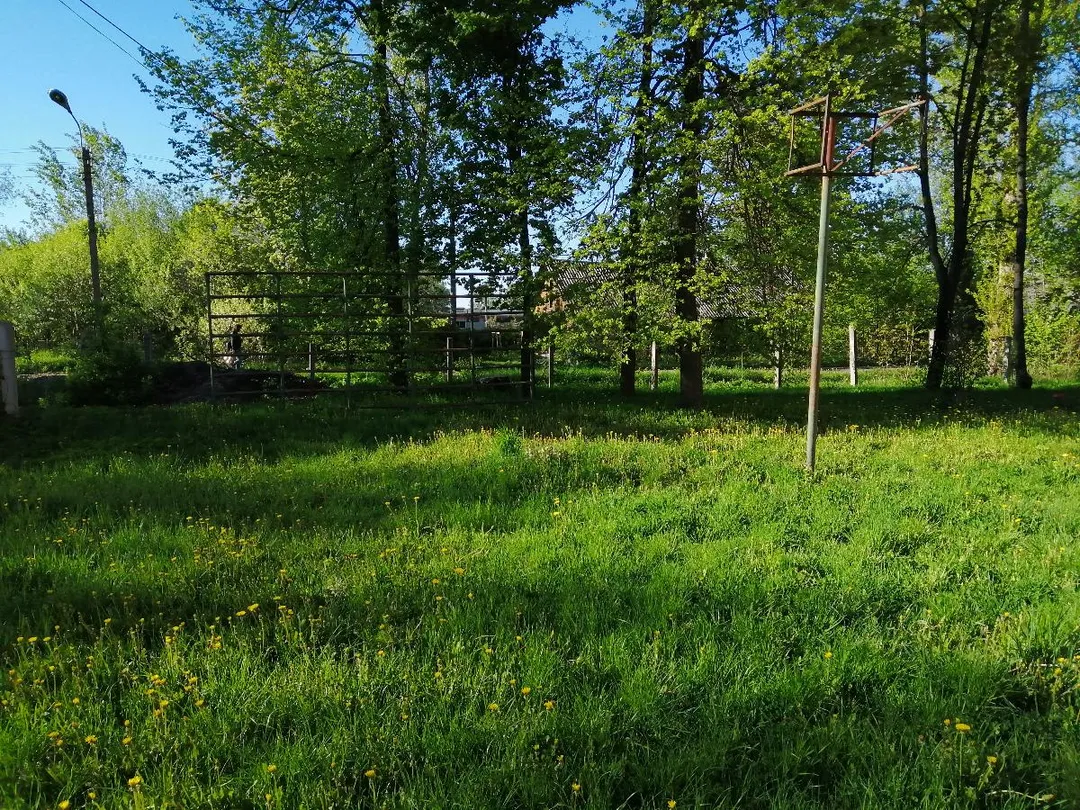 Spalliera presso Calisthenics Park at Коммунистическая улица, Дно – foto 5 di 6