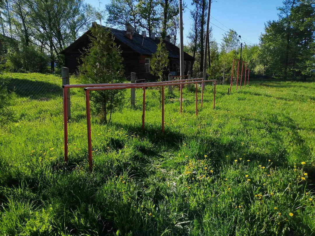 Maniglie per piegamenti presso Calisthenics Park at Коммунистическая улица, Дно – foto 2 di 6
