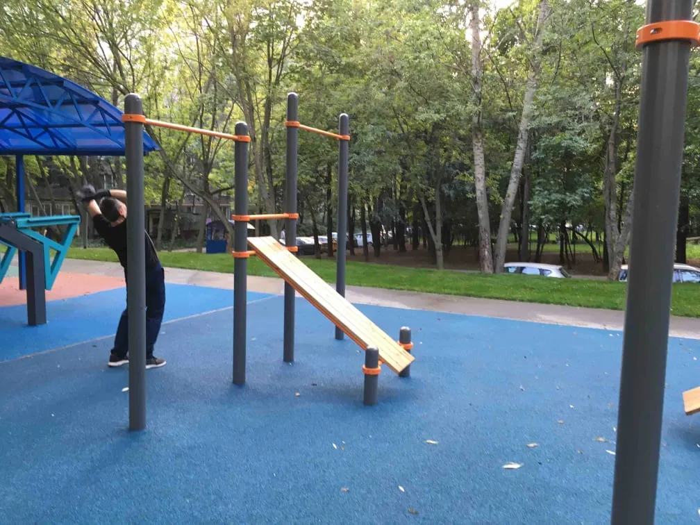 Spalier la Calisthenics Park at Профсоюзная улица (дублёр), Москва #wp2566 – fotografia 4 din 5