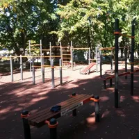 Calisthenics Park at Красная улица, Тимашёвск - thumbnail 2
