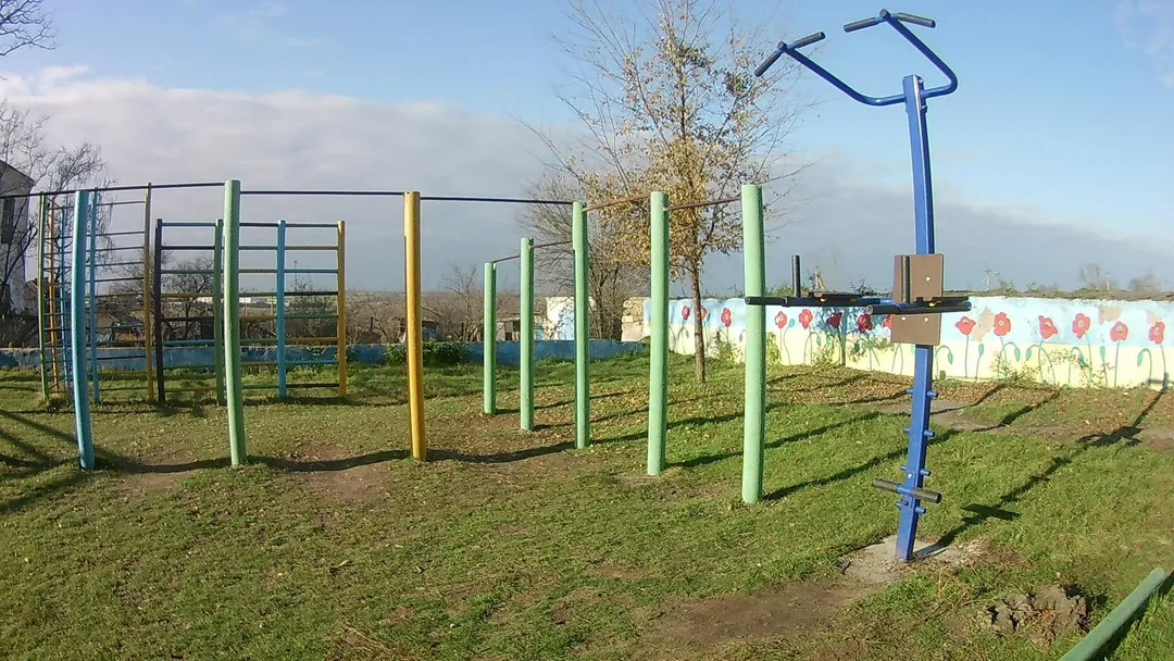 Pull Up Bar at Calisthenics Park at Незалежності вулиця, Новоолександрівка – photo 1 of 5