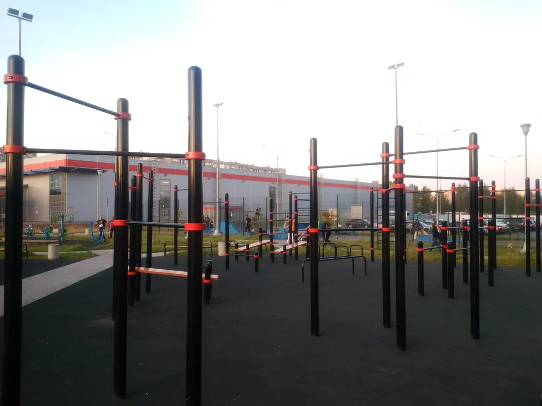 Упори для віджимань на майданчику Calisthenics Park at Георгиевский проспект, Зеленоград – фото 2 з 3