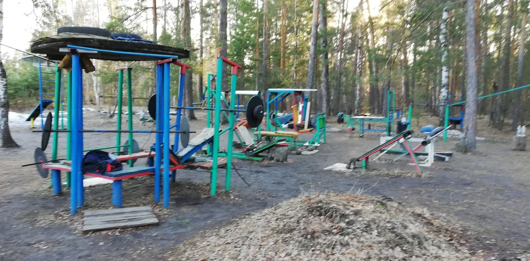 Monkey bar presso Calisthenics Park at улица Васильченко, Казань – foto 3 di 7
