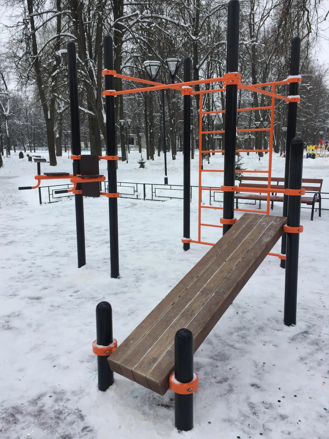Wall Bars at Calisthenics Park at улица Дзержинского, Коломна – photo 4 of 6