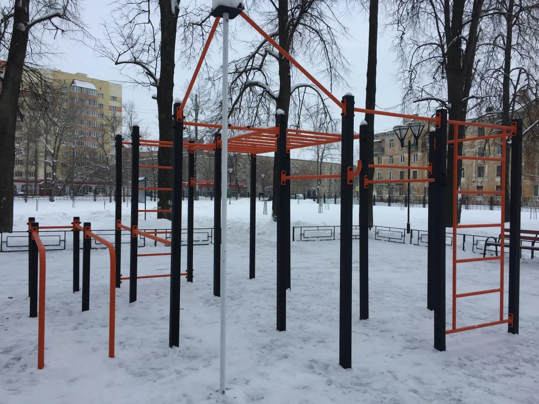 Monkey Bars at Calisthenics Park at улица Дзержинского, Коломна – photo 3 of 6