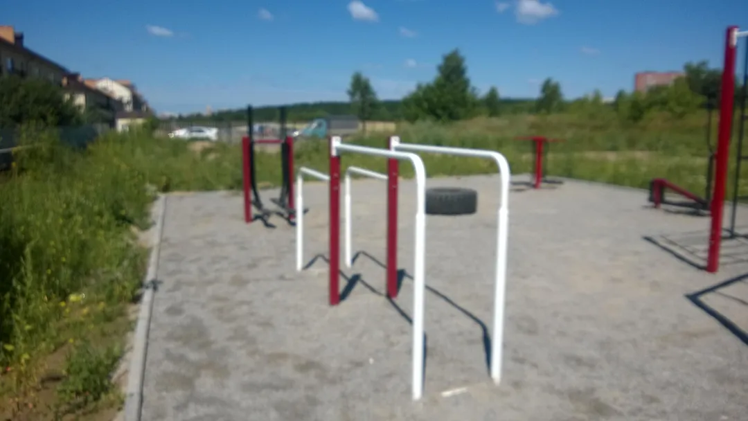 Bare paralele la Calisthenics Park at 1-я Родниковая улица, городской округ Новосибирск – fotografia 2 din 4