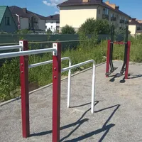 Calisthenics Park at 1-я Родниковая улица, городской округ Новосибирск - thumbnail 4