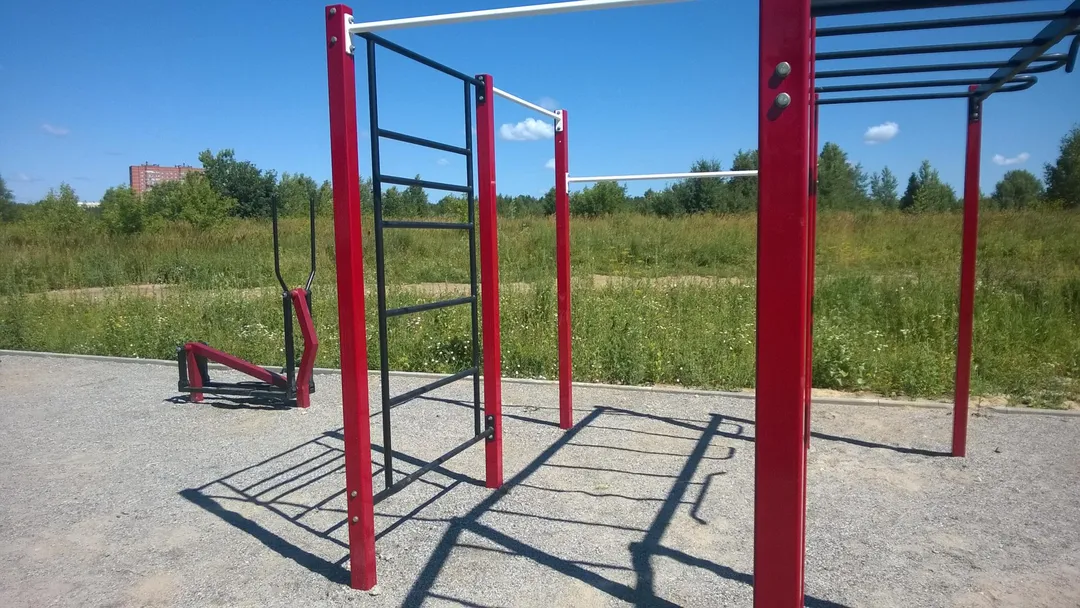 Monkey Bars la Calisthenics Park at 1-я Родниковая улица, городской округ Новосибирск – fotografia 3 din 4