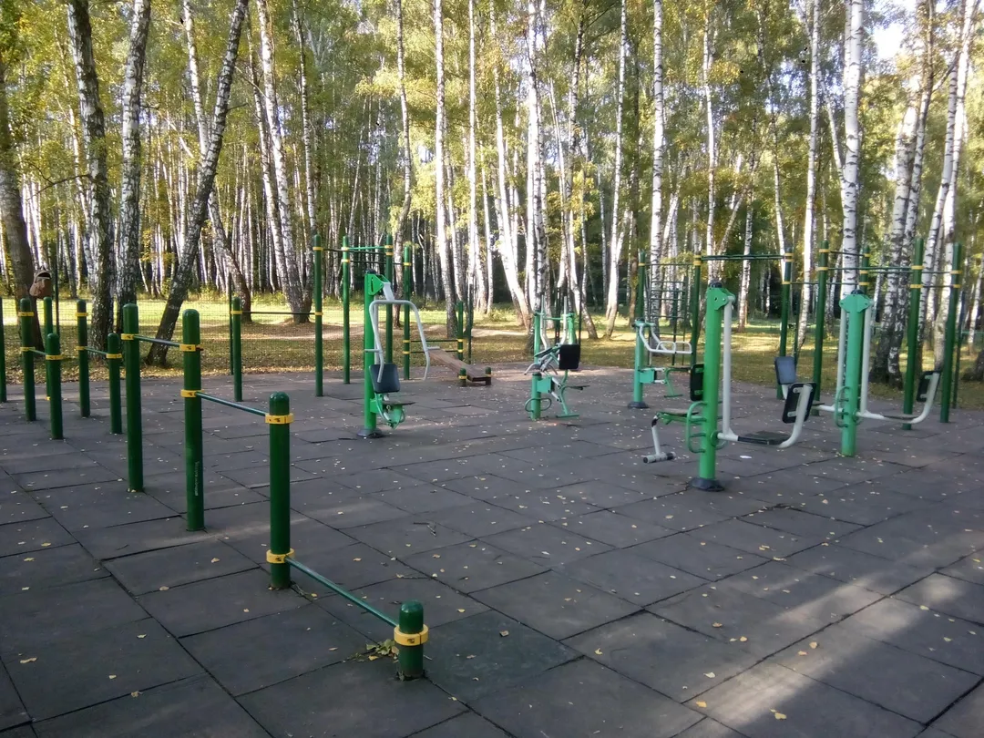 Hangelstange bei Calisthenics Park at OpenSport, Кашира – Foto 3 von 3
