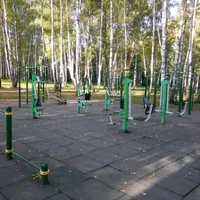 Calisthenics Park at OpenSport, Кашира - thumbnail 3