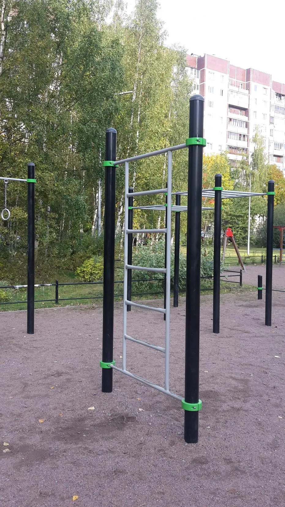 Wall Bars at Calisthenics Park at Шлиссельбургский проспект, Санкт-Петербург – photo 5 of 7