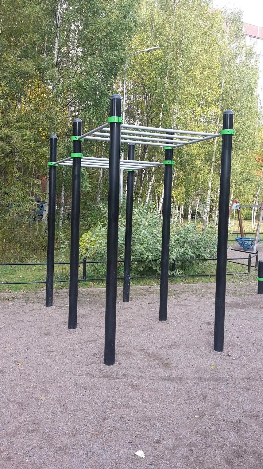 Monkey Bars at Calisthenics Park at Шлиссельбургский проспект, Санкт-Петербург – photo 4 of 7