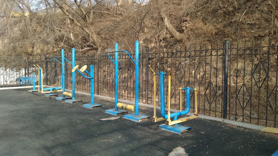 Monkey bar presso Calisthenics Park at проспект 100-летия Владивостока, Владивосток #wp2617 – foto 3 di 3