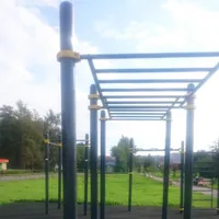 Calisthenics Park at проезд имени Бойцов 4-й Армии, Тихвин - thumbnail 6