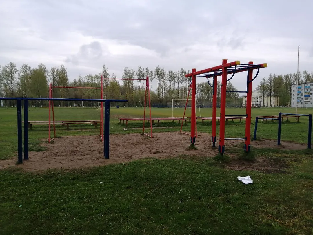 Monkey Bars la Calisthenics Park at улица Строителей, Дно – fotografia 3 din 3