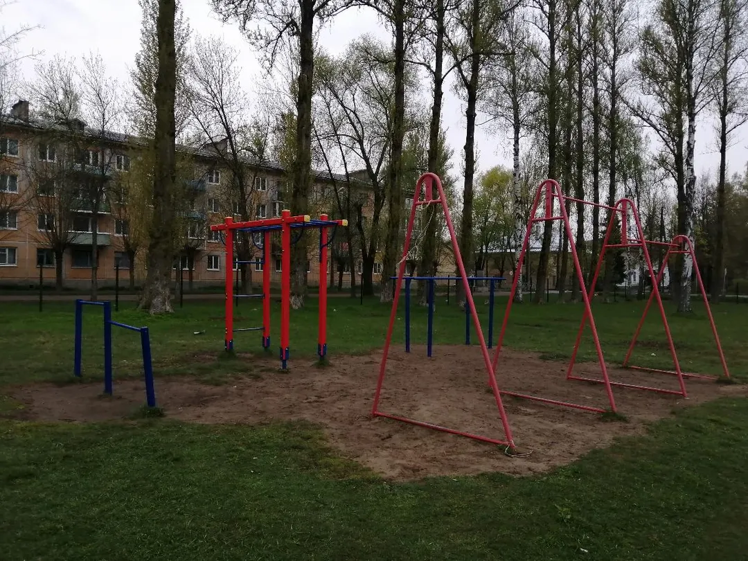 Bară de tracțiuni la Calisthenics Park at улица Строителей, Дно – fotografia 1 din 3