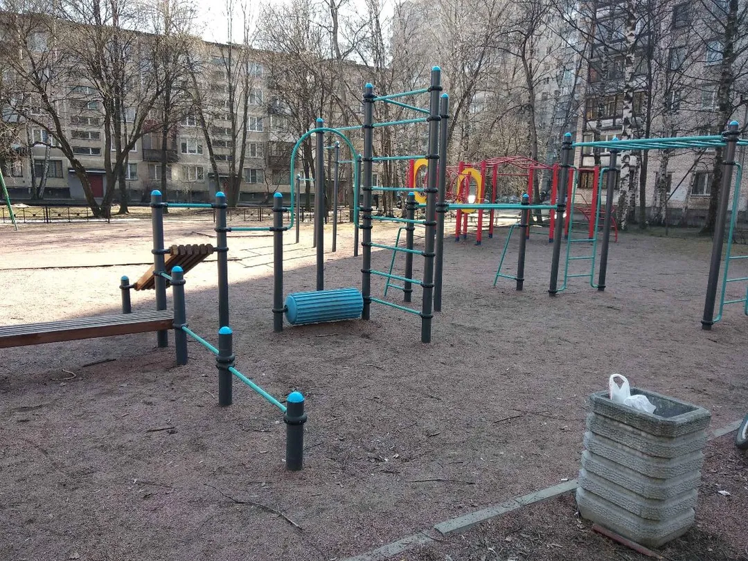 Maniglie per piegamenti presso Calisthenics Park at Пискарёвский проспект, Санкт-Петербург – foto 2 di 3