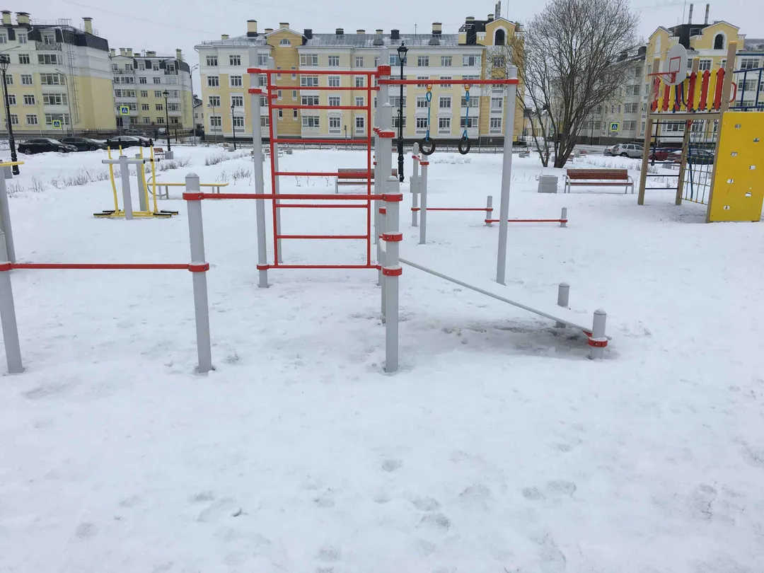 Monkey Bars at Calisthenics Park at Анциферовская улица, Пушкин – photo 4 of 4