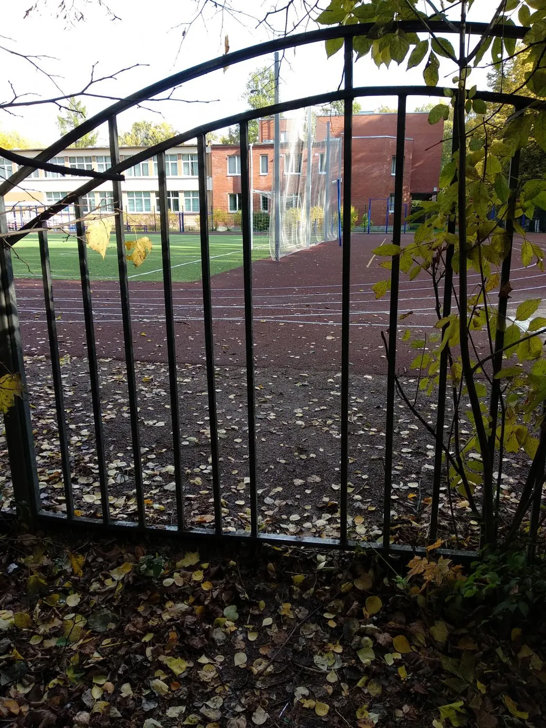 Ground Parallel Bars at Calisthenics Park at проспект Маршала Блюхера, Санкт-Петербург – photo 6 of 9