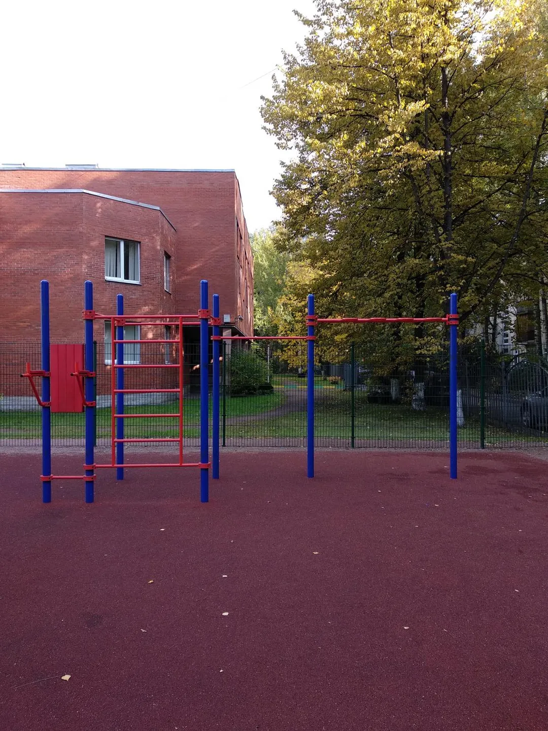 Wall Bars at Calisthenics Park at проспект Маршала Блюхера, Санкт-Петербург – photo 3 of 9