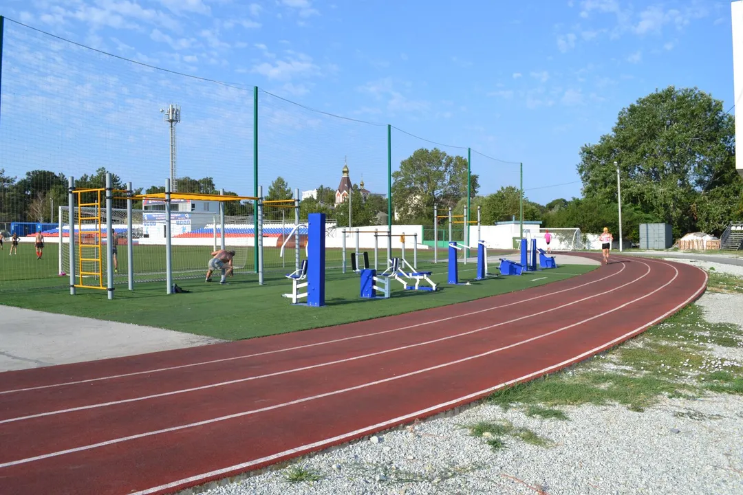 Шведська стінка на майданчику Calisthenics Park at Юность, Дивноморское – фото 4 з 5