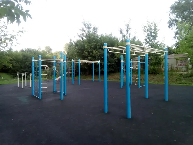 Calisthenics Park at Шатурский переулок, Хабаровск