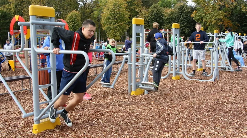 Monkey Bars la Outdoor Gym in Leopoldslust, Гусев – fotografia 3 din 3