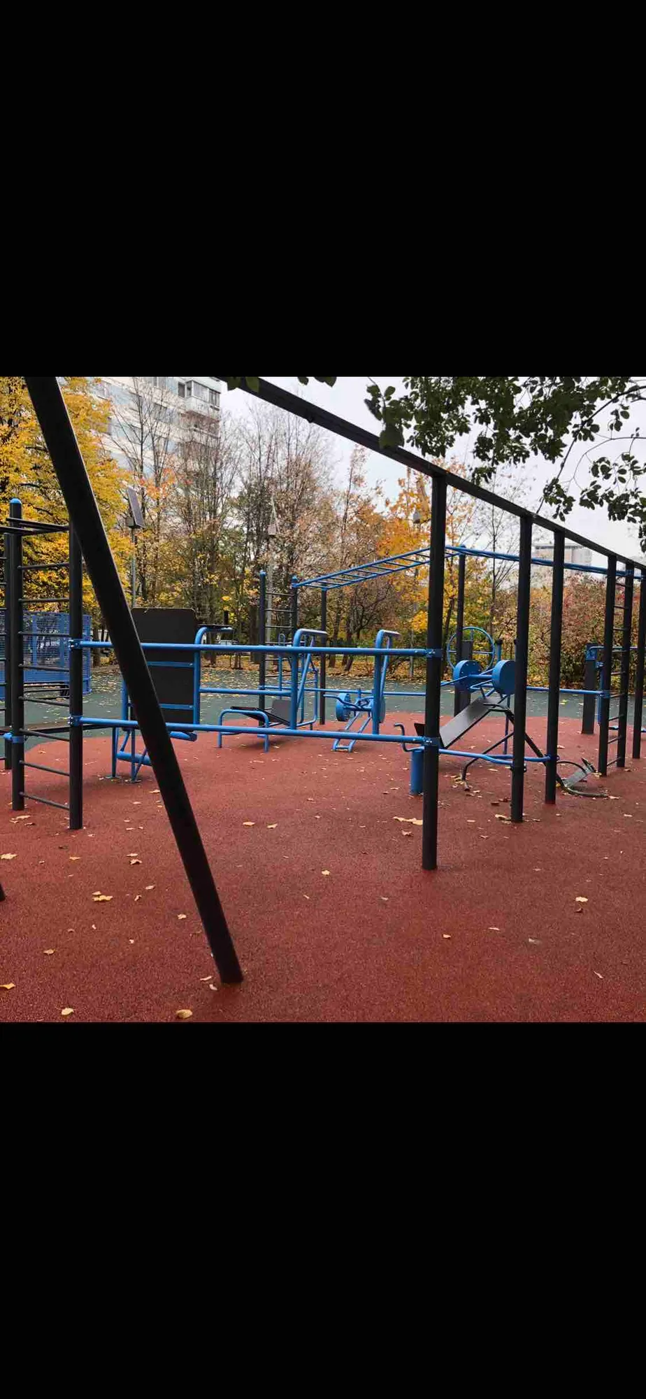 Шведська стінка на майданчику Calisthenics Park at улица Мичуринский Проспект, Олимпийская Деревня, Москва – фото 4 з 4