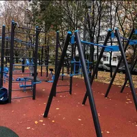 Calisthenics Park at улица Мичуринский Проспект, Олимпийская Деревня, Москва - thumbnail 3