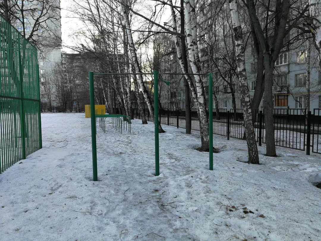 Barre de traction à Calisthenics Park at Педагогическая улица, Москва – photo 1 sur 2