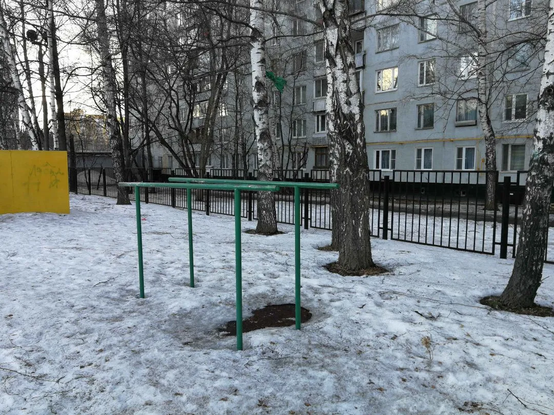Barres parallèles à Calisthenics Park at Педагогическая улица, Москва – photo 2 sur 2