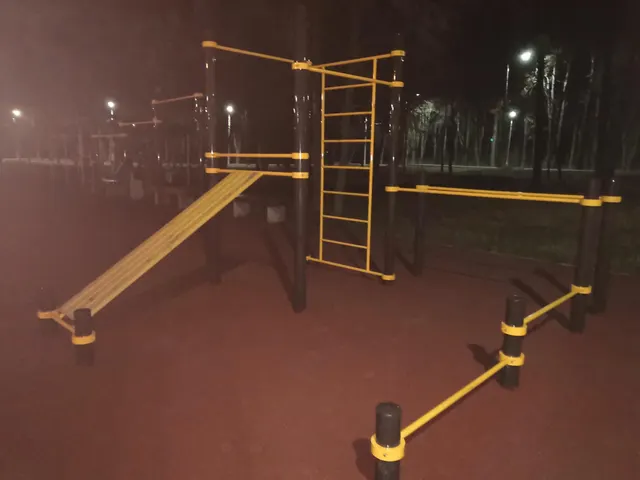 Calisthenics Park at улица Токарева, Тула