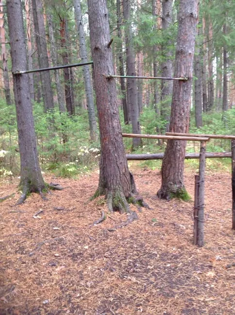 Monkey Bars la Outdoor Gym in Запрудный, Нижний Тагил – fotografia 3 din 3