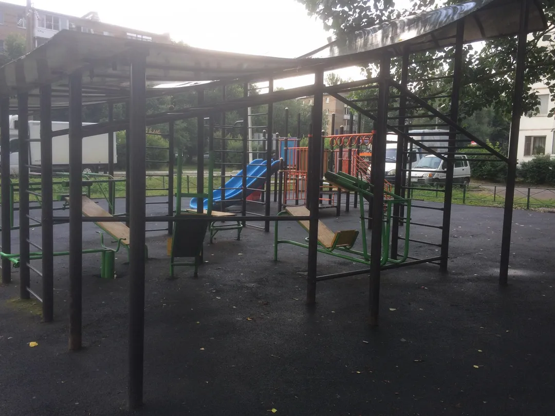 Рукоход на площадке Calisthenics Park at 1-я Заводская улица, Апрелевка – фото 2 из 4