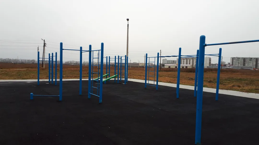 Шведська стінка на майданчику Calisthenics Park at 4-й микрорайон, Шарыпово – фото 3 з 4
