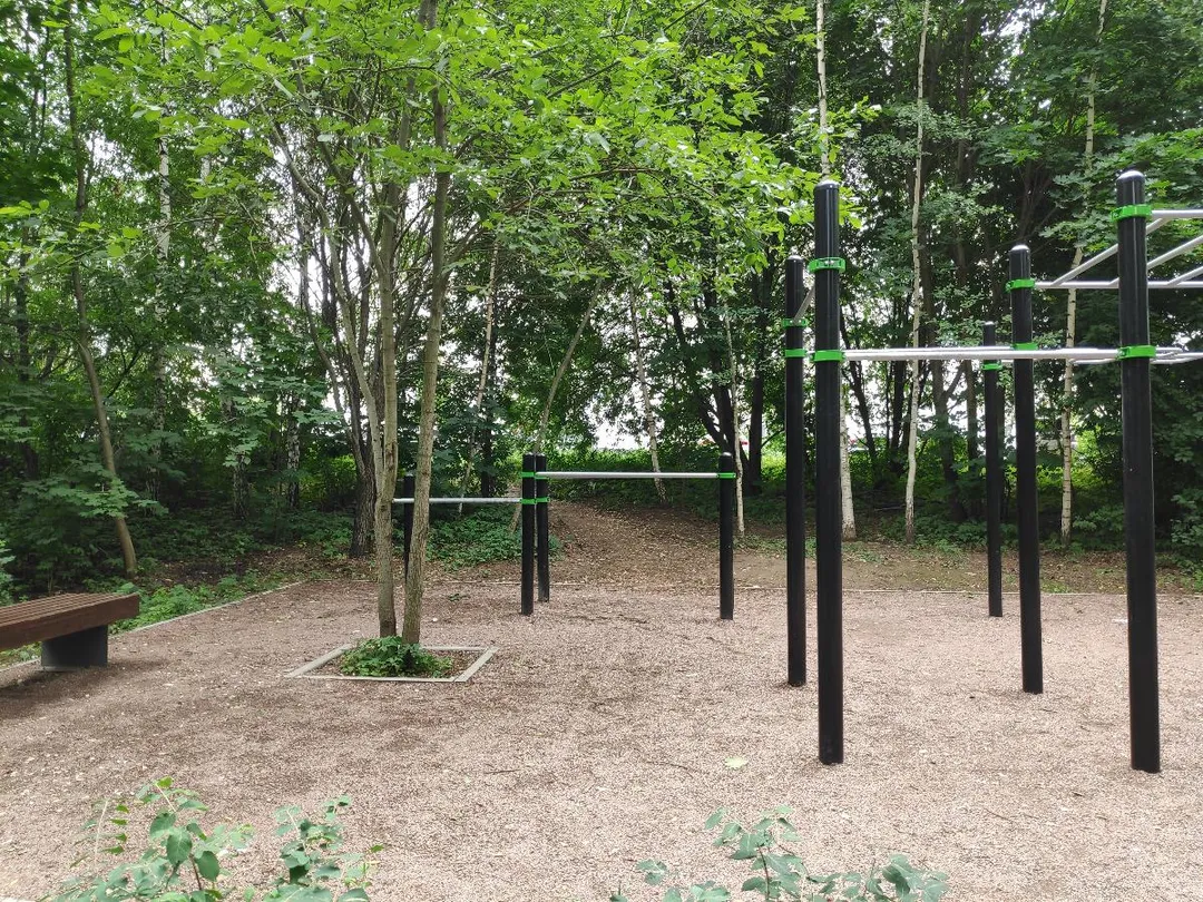 Бруси на майданчику Calisthenics Park at Лукинская улица, Москва – фото 2 з 4